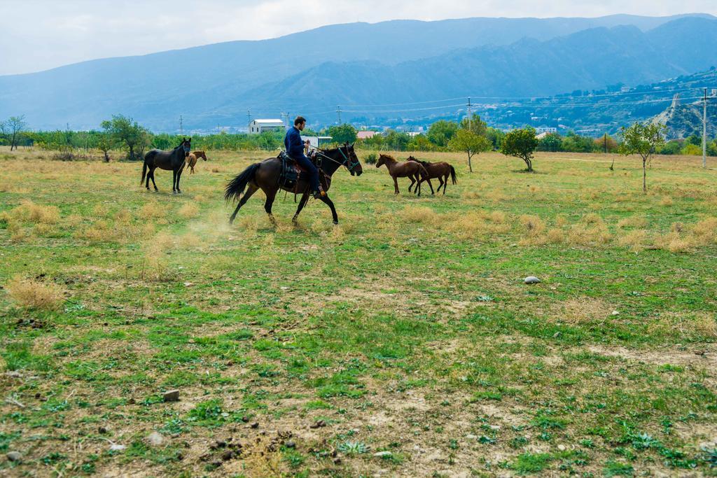 Zedazeni Hotel Mtsʼkhetʼa Bagian luar foto